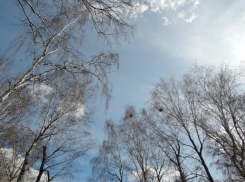 О невероятном погодном сюрпризе для воронежцев рассказали синоптики