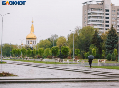 Можно и нельзя: как правильно провести Вербное воскресенье в 2024 году