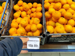 Товары, которые не купить – на какие продукты у воронежцев не хватает денег