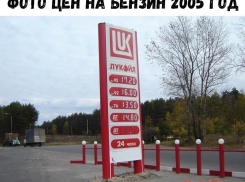 Воронежцам показали, как изменились цены на бензин с 2005 года