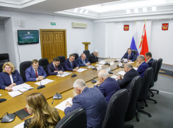 Кто станет новым вице-спикером Воронежской областной Думы