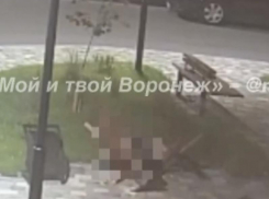 Тело 27-летней девушки нашли под окнами многоэтажки в Воронеже