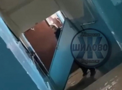 «Это». Часть 2: неадекватного воронежца засняли на видео в воронежском подъезде