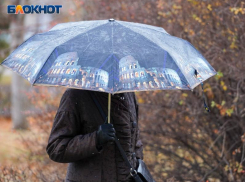 Снег и дождь нагрянет в Воронеж в середине рабочей недели
