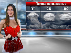 Очаровательная Снегурочка предсказала погоду на Новый год в Воронеже 