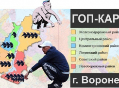 В Воронеже создали карту гопников по районам