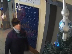 Уничтожение новогоднего настроения попало на видео в Воронеже