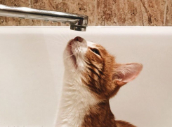 Опубликован список воронежских домов, где на будущей неделе отключат горячую воду