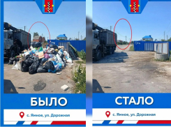 Нейросетевой урок уборки мусора преподали чиновники в Воронежской области 