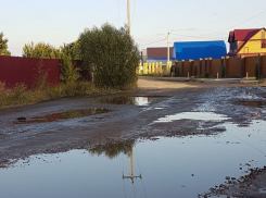 Воронежцы возмутились, как дальнобойщики фурами разбили проселочную дорогу