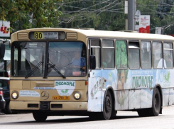 Стало известно, когда в Воронеже вырастет стоимость проезда