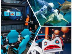 Куда пойти с ребёнком на каникулах в Воронеже: Парк аттракционов, океанариум, Кидбург?