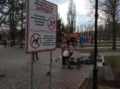 Дерзкие воронежцы пошли против системы в парке