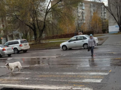 Об абсурдной рокировке пешеходного перехода рассказала жительница Воронежа 