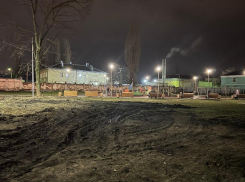  ДТП у сквера спровоцировало публичное обращение к воронежскому губернатору  