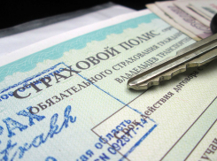 В Воронежской областной Думе предложили продлевать полисы ОСАГО при отсутствии бланков