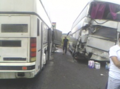 Массовое ДТП с 8 пострадавшими под Воронежем устроил водитель автобуса