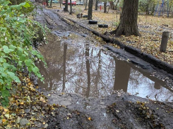 Опасный козырек и море грязи: что не так с воронежским двором