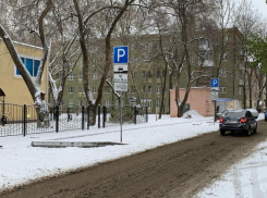 Завышенные цифры, непрозрачная бухгалтерия, чай и пряники: «Горпарковки» уличили в куче нарушений