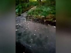 Воронежскую УК оштрафуют на 50 тыс за ручей жидких отходов 