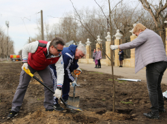 В модных очках вышел на уборку парка мэр Воронежа