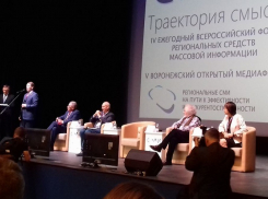 На полях медиафорума подсчитали миллионы, что воронежский бюджет тратит на СМИ
