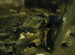 В Воронеже двенашка врезалась в дерево: водитель и пассажир погибли (ФОТО)