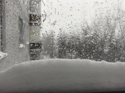 Придет ли в Воронеж вторая и третья оттепель – ответили в гидрометцентре 