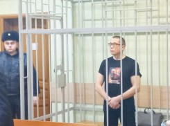 Взятка и 300 порнороликов: обвинение ректору ВГУ Ендовицкому утвердили в Воронеже