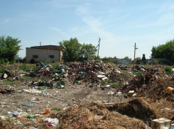 Семья главы Острогожского района Сергея Хорошилова устроила вонючую свалку из отходов производства?