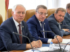 Разработка стратегии пространственного развития России важна для каждого региона, - воронежский сенатор 