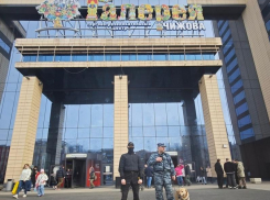 Об усилении мер безопасности в ГЧ рассказали воронежцам