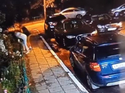 Аморальный поступок мужчины ради своей дамы попал на видео в Воронеже