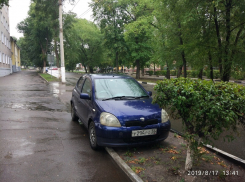 Клумбу превратили в бесплатную парковку в Воронеже