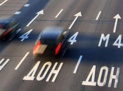 В Воронежской области на трассе М-4 «Дон» «ВАЗ» столкнулся с грузовиком