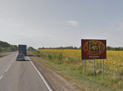 Скульптуру мамонта установят на въезде в Костенки Воронежской области