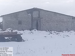 Чиновники не нашли навоз и кровавые жижи рядом с домами воронежцев, которые обращались к господину Губернатору  
