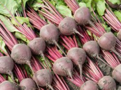 Воронежское предприятие привлекли к ответственности за отходы