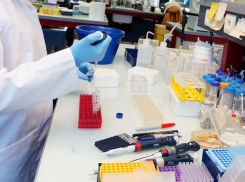 Молодой мужчина умер от COVID-19, более 20 заразились за сутки в Воронежской области