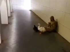 Заклинатель гуся с дудкой устроил чудаковатый концерт под землей в Воронеже