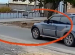 Сбил котенка и уехал: бесчеловечный поступок водителя попал на видео в Воронежской области 