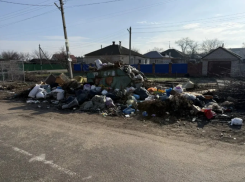 За горы мусора в будущем центре туризма прокуратура «нагнула» регоператора в Воронежской области