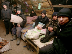 Воронежские судебные приставы выдворили из России 11 нелегальных мигрантов