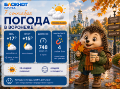 Бабье лето с характером: прогноз погоды в Воронеже 