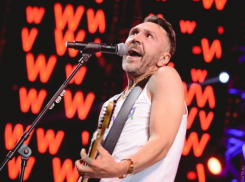 Шнуров, Пугачева и Киркоров: воронежцы назвали звездных собутыльников на Новый год