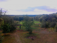 Воронежцы будут платить максимальный земельный налог