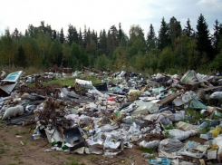 В Лискинском районе ликвидировали свалку опасных отходов