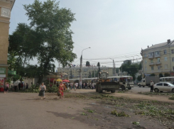 На ул. Кольцовской началась масштабная вырубка деревьев - идут ремонтные работы (ФОТО)