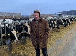 О пользе молока в борьбе с Covid-19 заговорил воронежский друг Алексея Гордеева