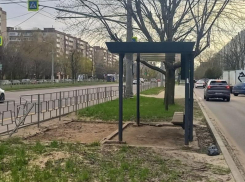 Загадочные «остановки-призраки» заполонили улицы Воронежа